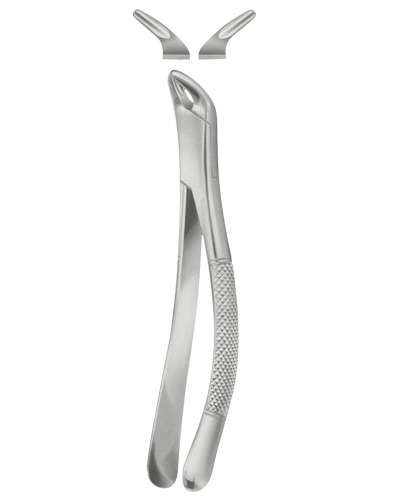 Tooth Forceps, American Pattern for Lower incisors ,Bicuspids Molars & roots